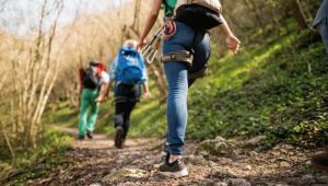 RedeTrilhas em Movimento: Participe da Consulta Pública para uma Nova Governança