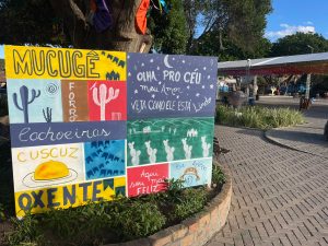 Mucugê Celebra São João com 100% de Ocupação Hoteleira e Atrações de Ecoturismo