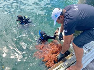 Setur-BA mantém parceria com projeto de sustentabilidade na Baía de Todos-os-Santos